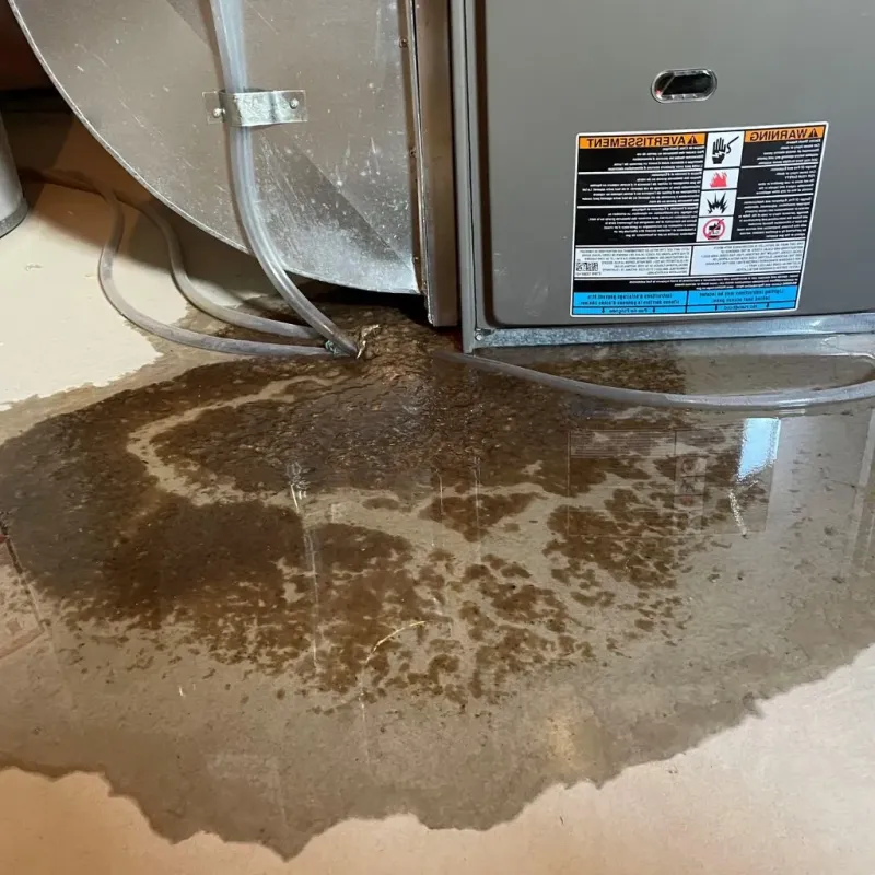 Pipe Burst and Leak Restoration in Schwenksville, PA