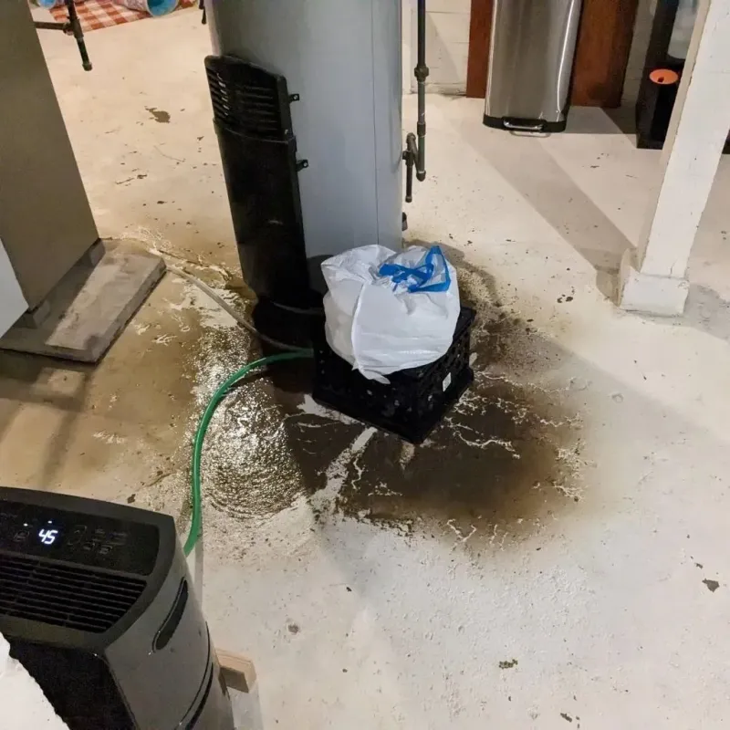 Sewage Backup Cleanup Service in Schwenksville, PA